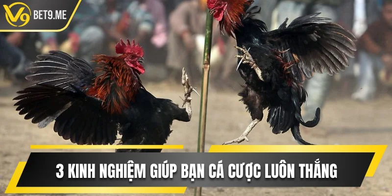 3 kinh nghiệm giúp bạn cá cược luôn thắng