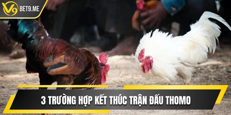 3 trường hợp kết thúc trận đấu Thomo