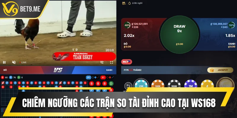 Chiêm ngưỡng những trận so tài đỉnh cao tại WS168