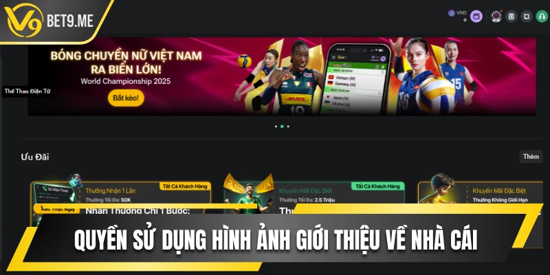 Quyền sử dụng hình ảnh giới thiệu về nhà cái