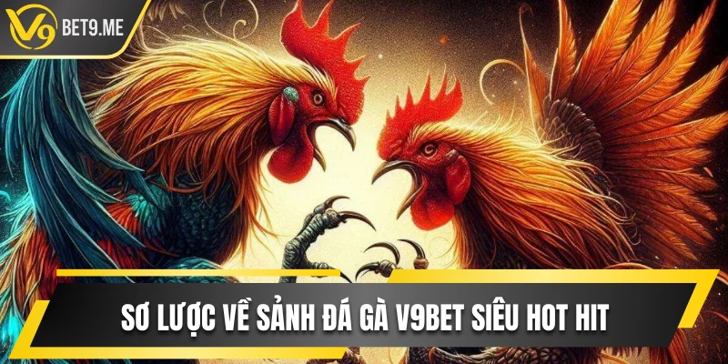 Sơ lược về sảnh đá gà V9bet siêu hot hit