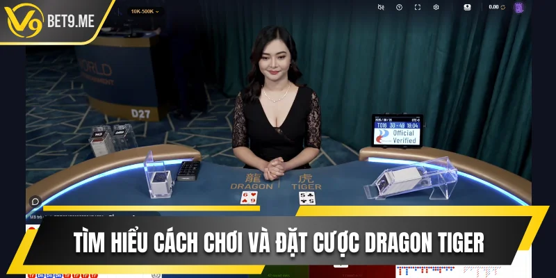 Tìm hiểu cách chơi và đặt cược Dragon Tiger